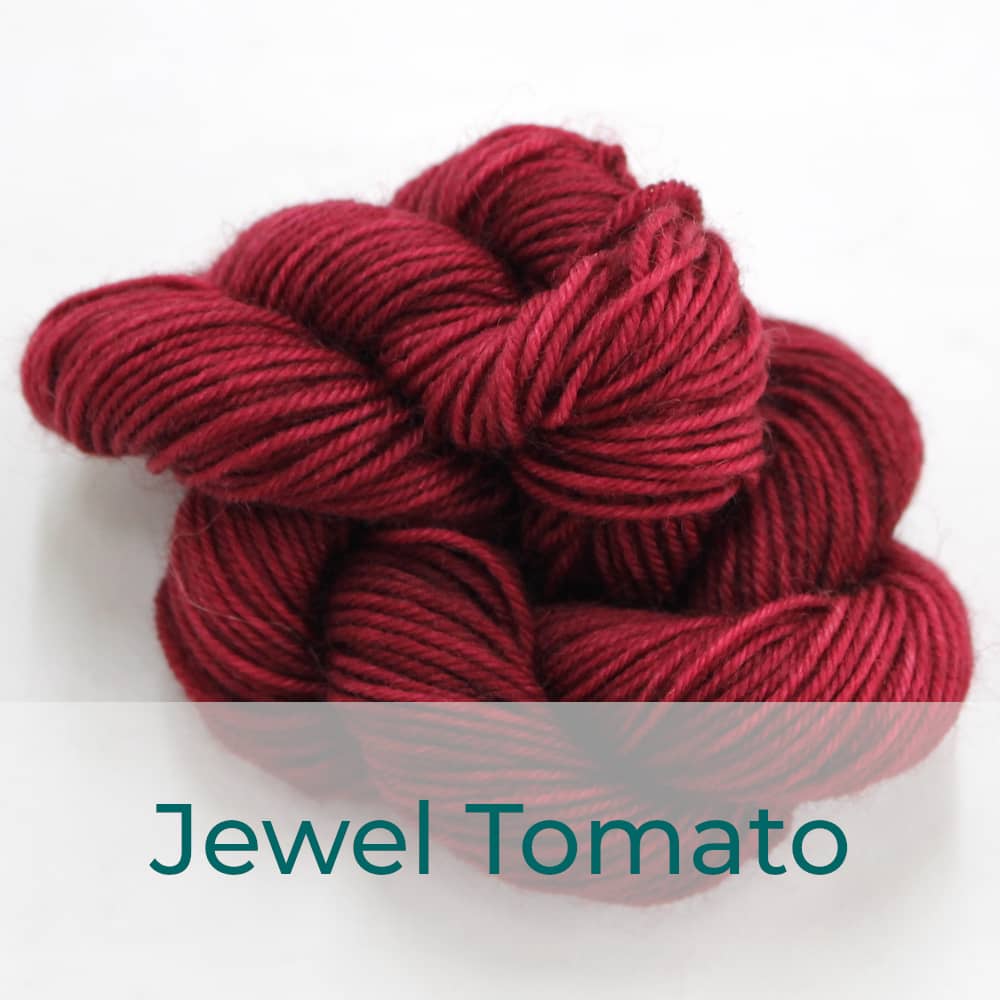 BFL 4 Ply mini skein in Jewel Tomato colourway. It is a rich red.