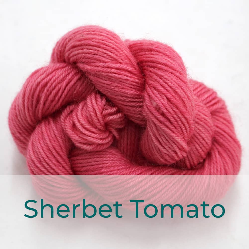 BFL 4 Ply mini skein in Sherbet Tomato colourway. It is a coral colour.