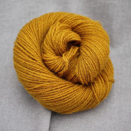 A skein of Severn 4 Ply in a warm mustard colour