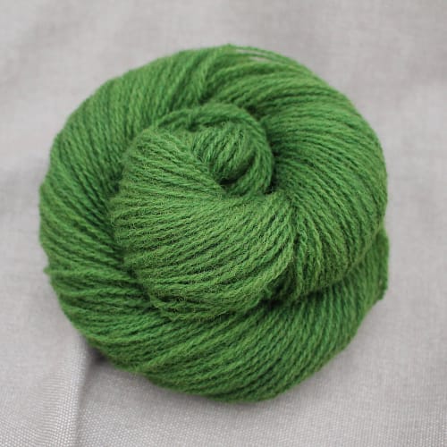A skein of Severn 4 Ply in a rich mossy green